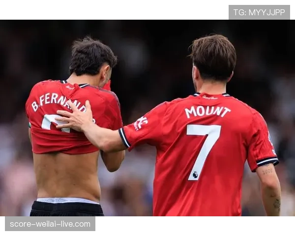 B费在曼联的战术价值与实际贡献是否被高估？